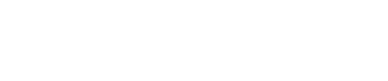 Boreus
