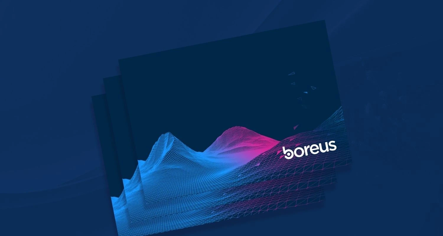 Styleguide Boreus – dunkle Markengrafik mit Wireframe-Welle und Logo